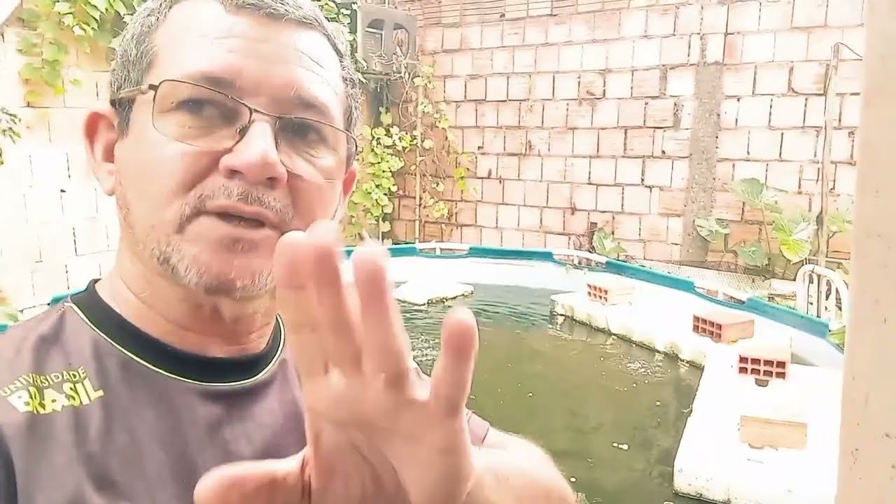 Posso criar tambaqui com tilápias juntos...???🤔🤔🤔