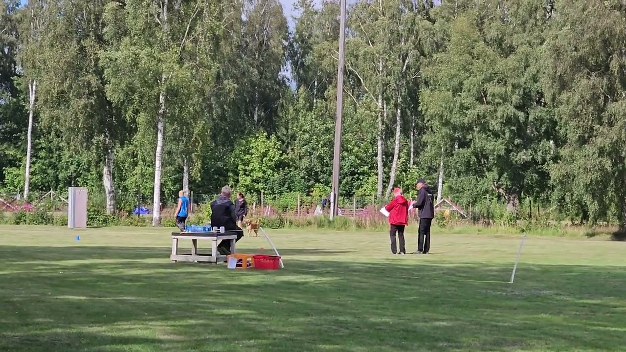 Indy debut i lydnad klass 2 Varberg