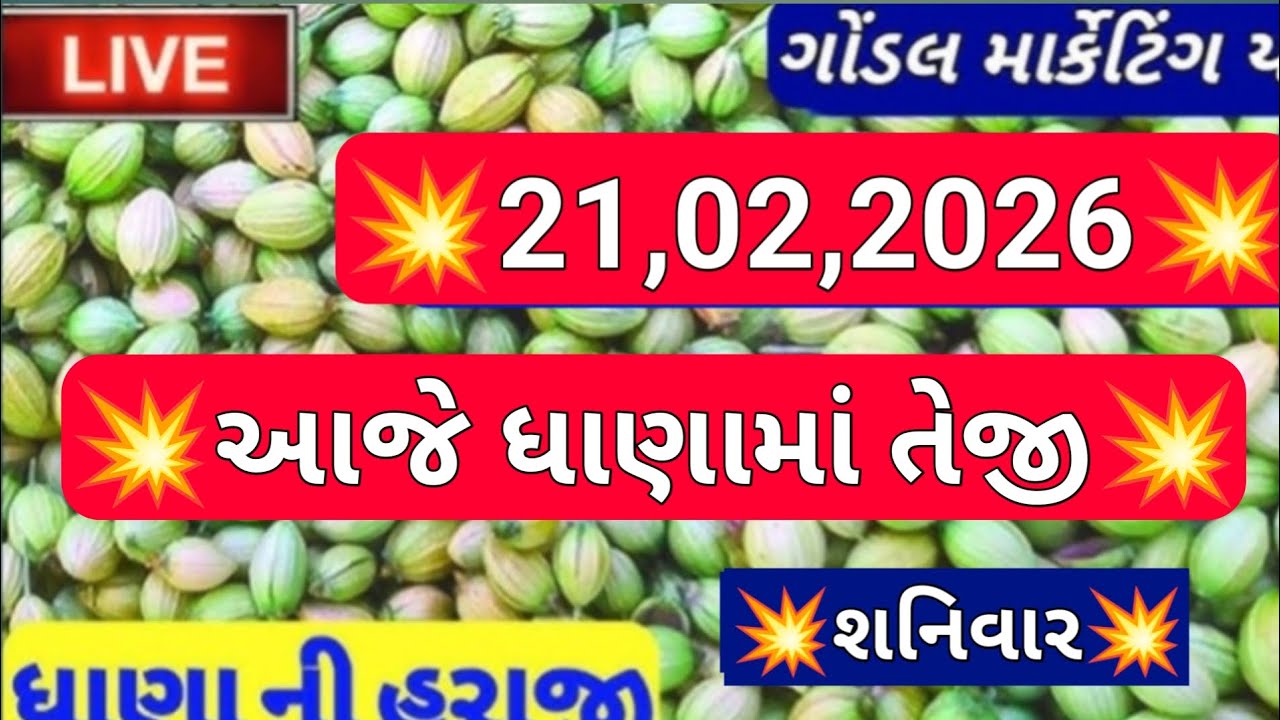 ગોંડલ નવા ધાણા ના બજાર ભાવ / ધાણા ના બજાર ભાવ / નવા ધાણા ના ભાવ / 21,02,2026