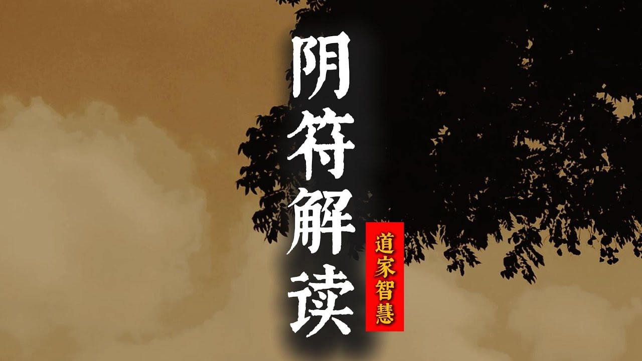 道家高人詳細破解中國奇書《陰符經》奧秘，30分鐘長視頻《陰符解讀》|道破天機，人生大智慧|悟道奧秘，珍貴難得