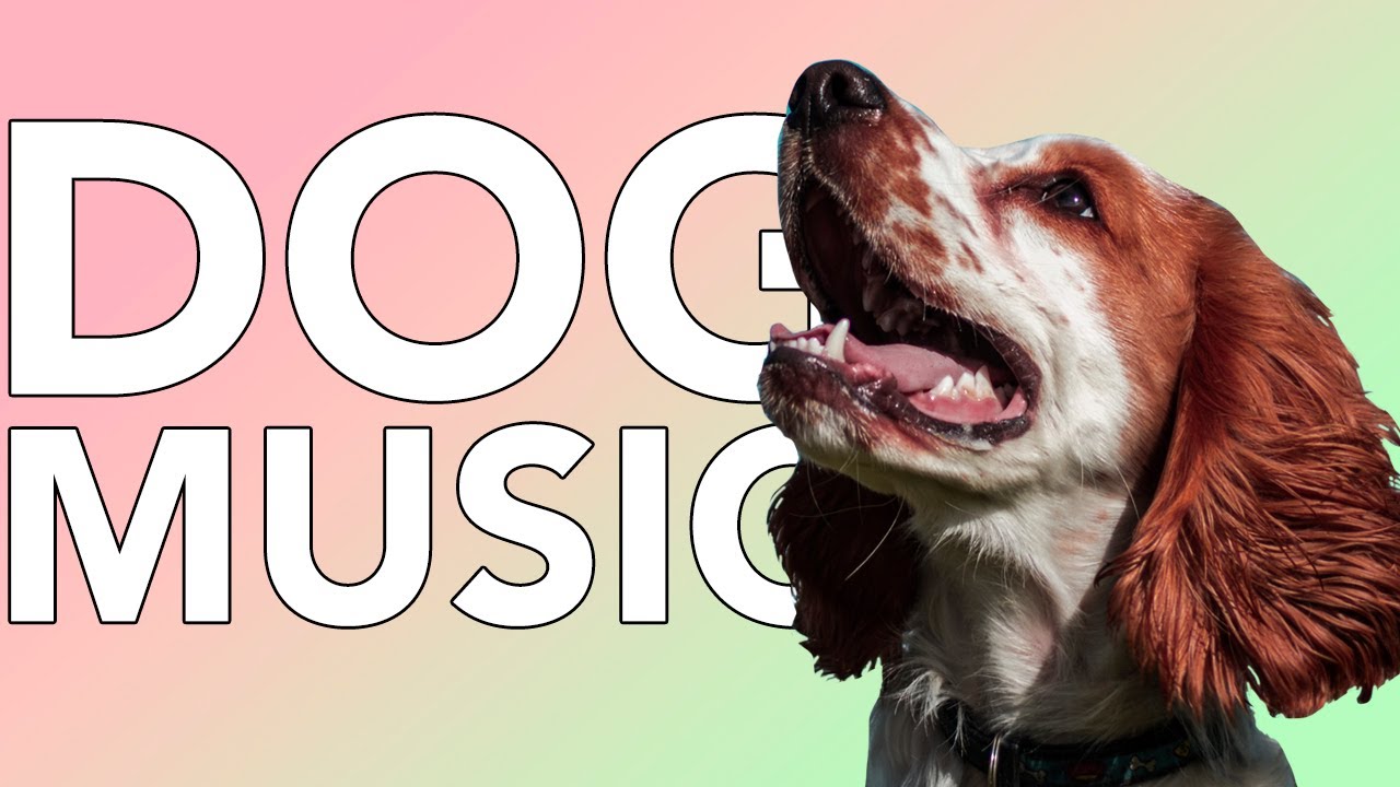 Music for Dogs! Calming Soundwaves for Dogs to Sleep and Relax!