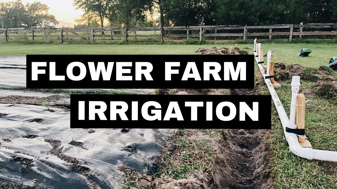 Installing Drip Irrigation on Flower farm | Florida Farm