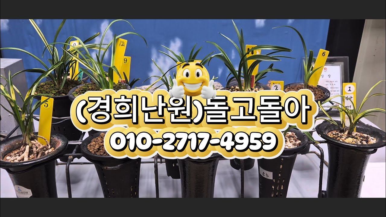 0308 진나 온누리 입변황복륜 입변호피 운월소 칠보산 대곡단엽 입변서반 단엽종 산채녹호산반 입변호 서호반 백두산
