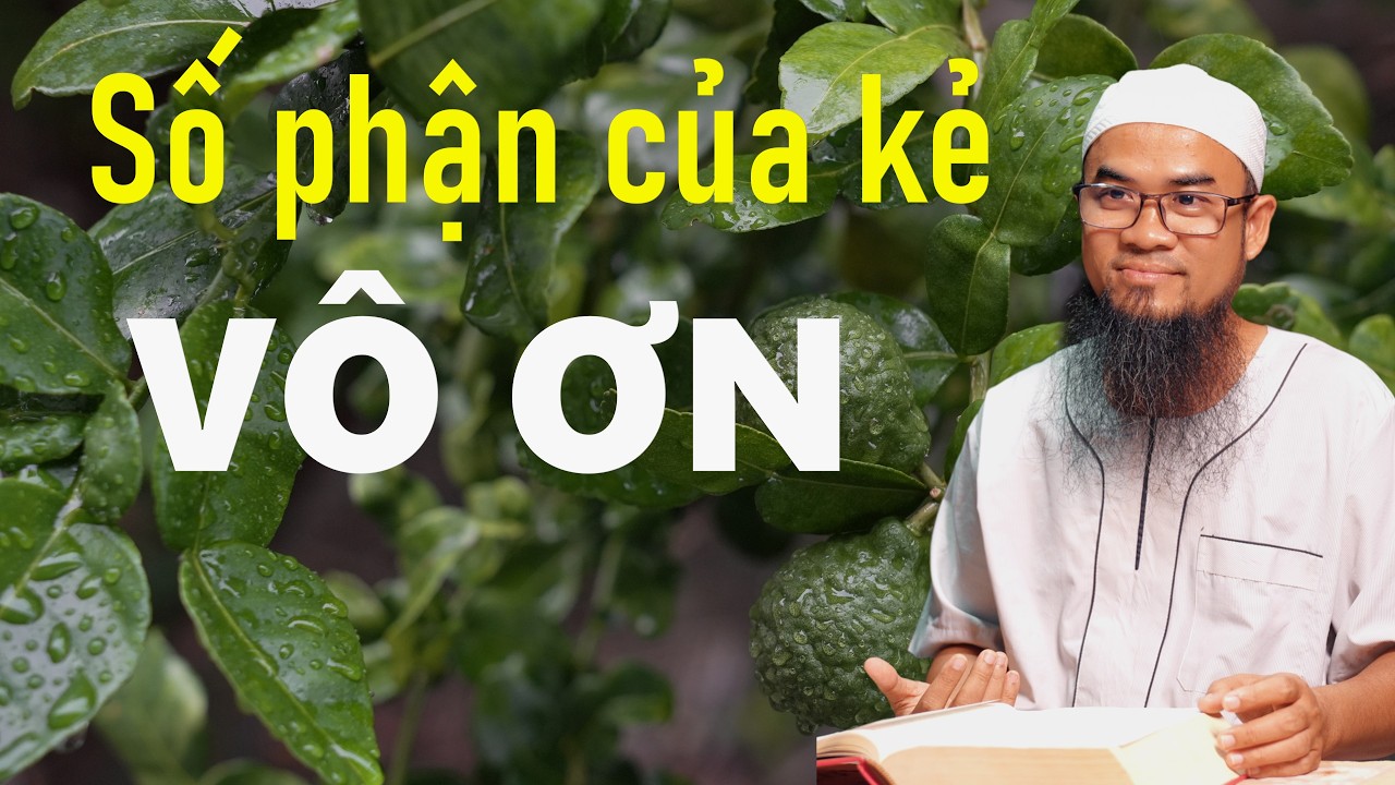 Số phận của kẻ VÔ ƠN - The fate of the ungrateful ll Tuôn Mách Zên