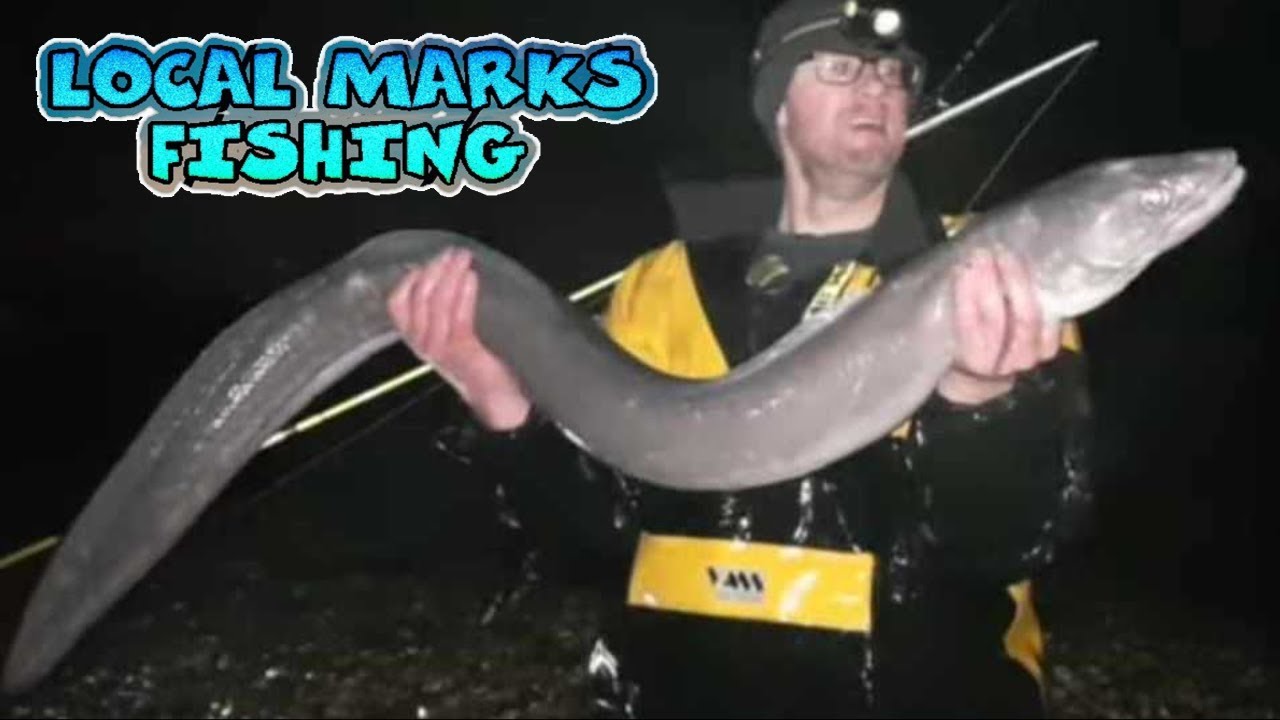 Monster Catch! Hauls in HUGE 21lb Conger Eel From The Beach!