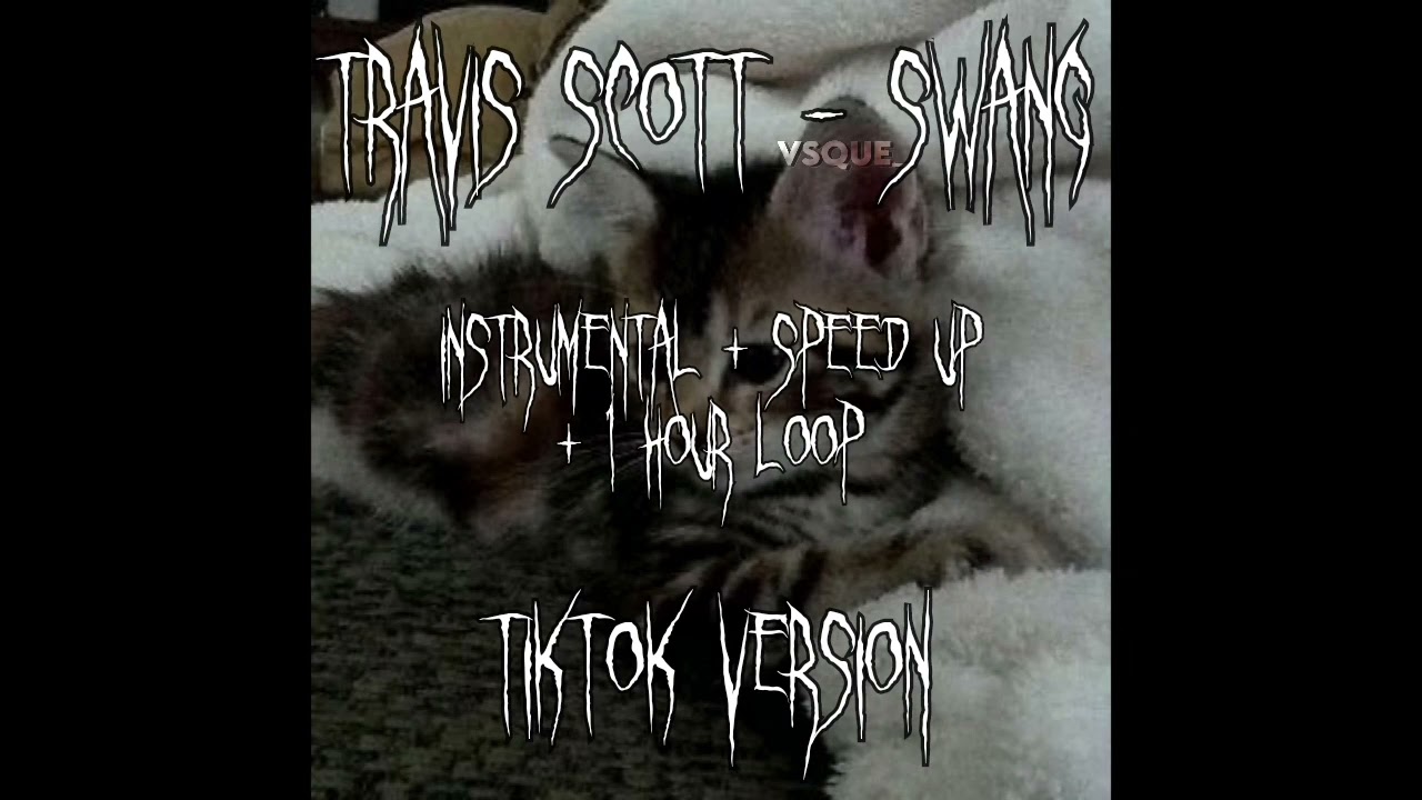Travis Scott (remix) - Swang (instrumental + speed up + 1 hour loop) tiktok version
