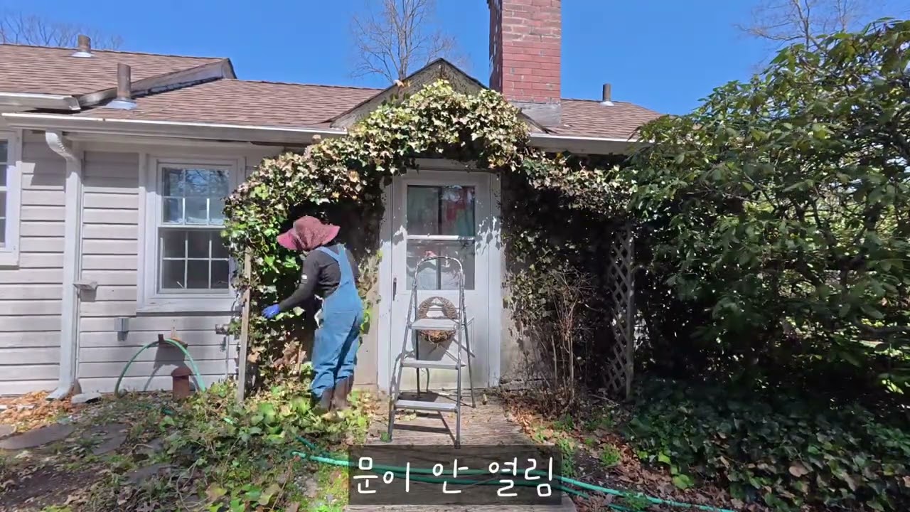 봄맞이 청소/텃밭 만들기#gardening #simplelife #diygarden 