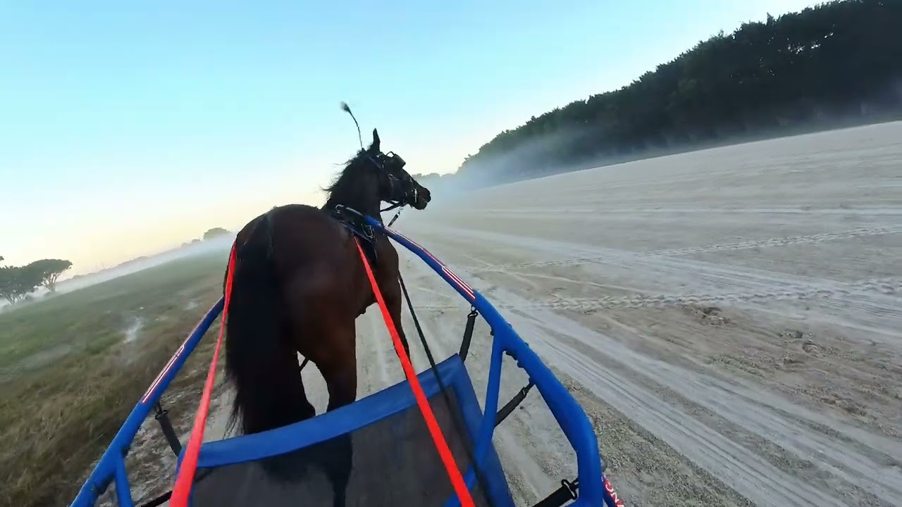 2026 Racing Season   Unhynged Grit 20260106