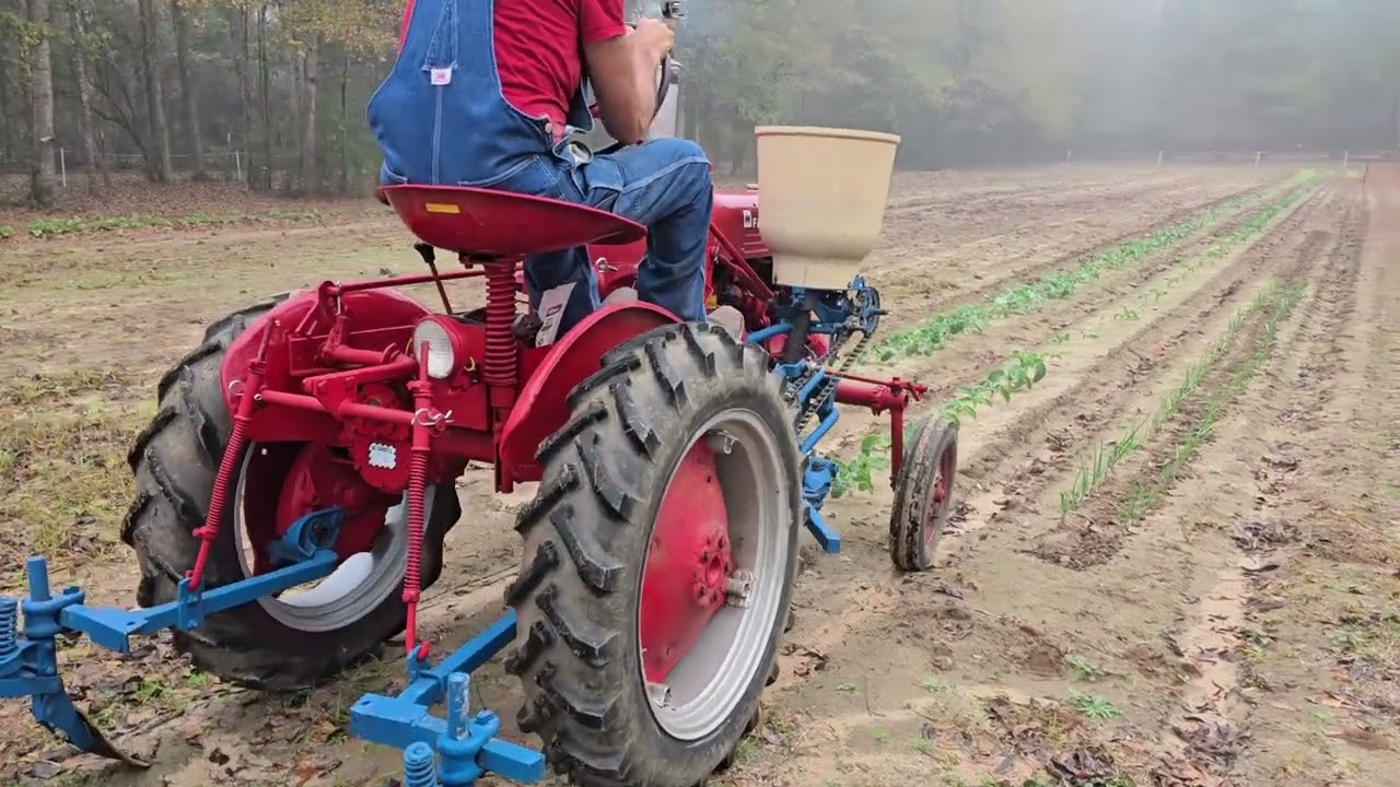 Вспашка трактором Farmall Cub в декабре.