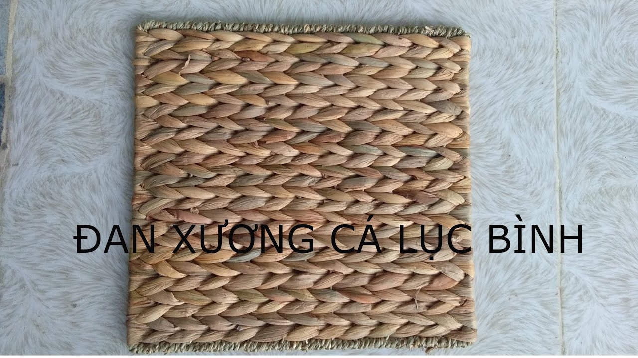 ĐAN XƯƠNG CÁ LỤC BÌNH với cói