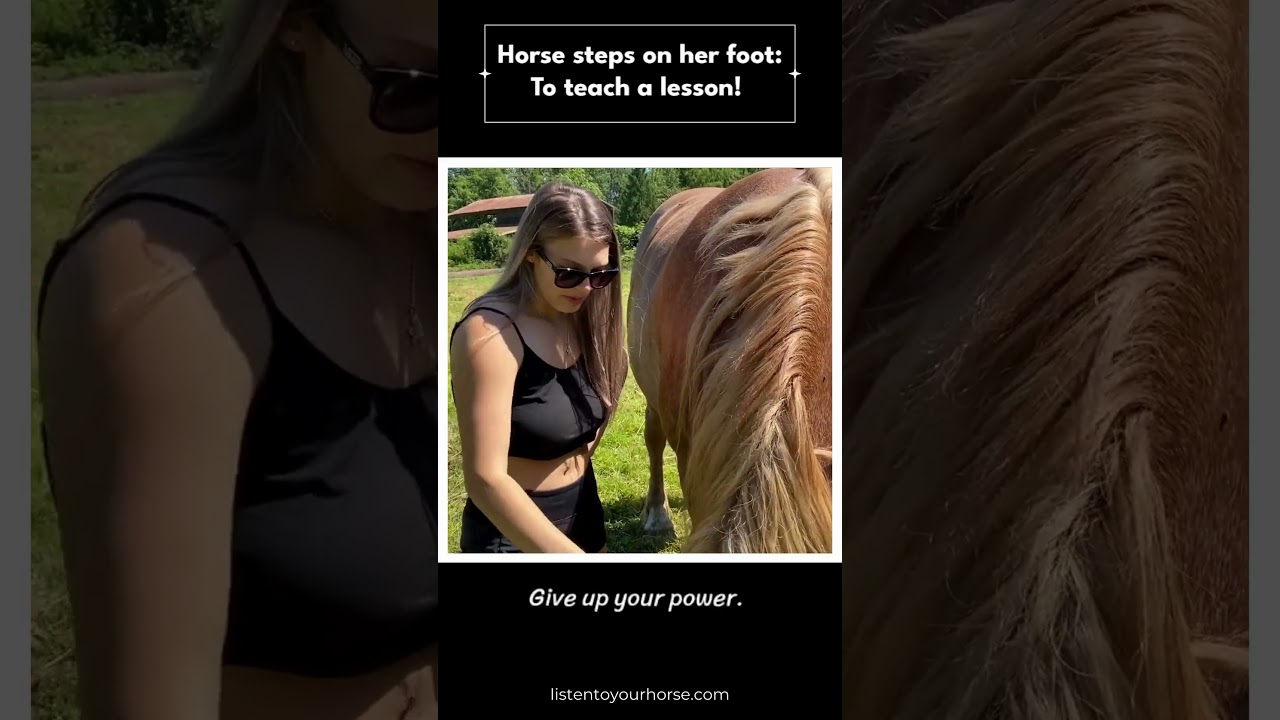 A Horse Lesson She'll Never Forget!