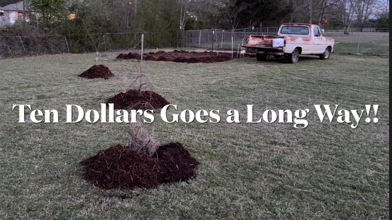 Here’s the Finished Result of My $10 Mulch Purchase!!