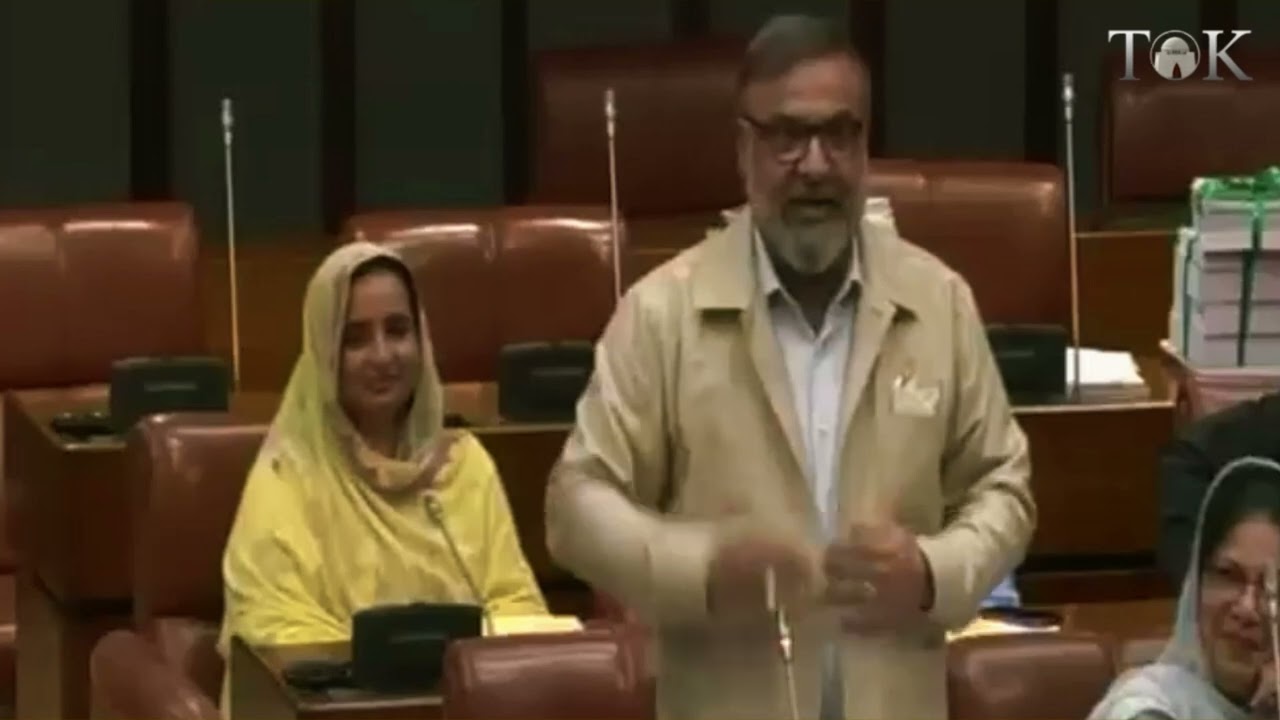 Сенатор от MQM Амир Чишти указывает на проблемы Карачи и заявляет, что ни одно правительство не б...