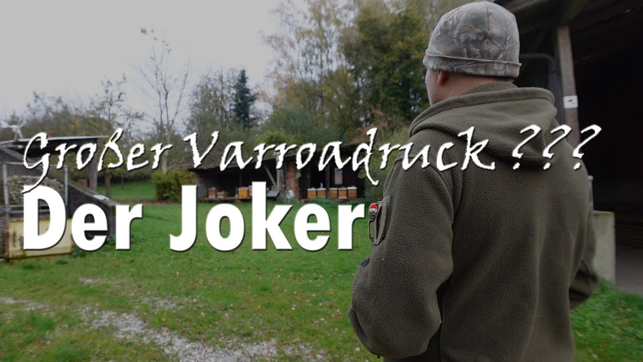 Der Varroa Joker