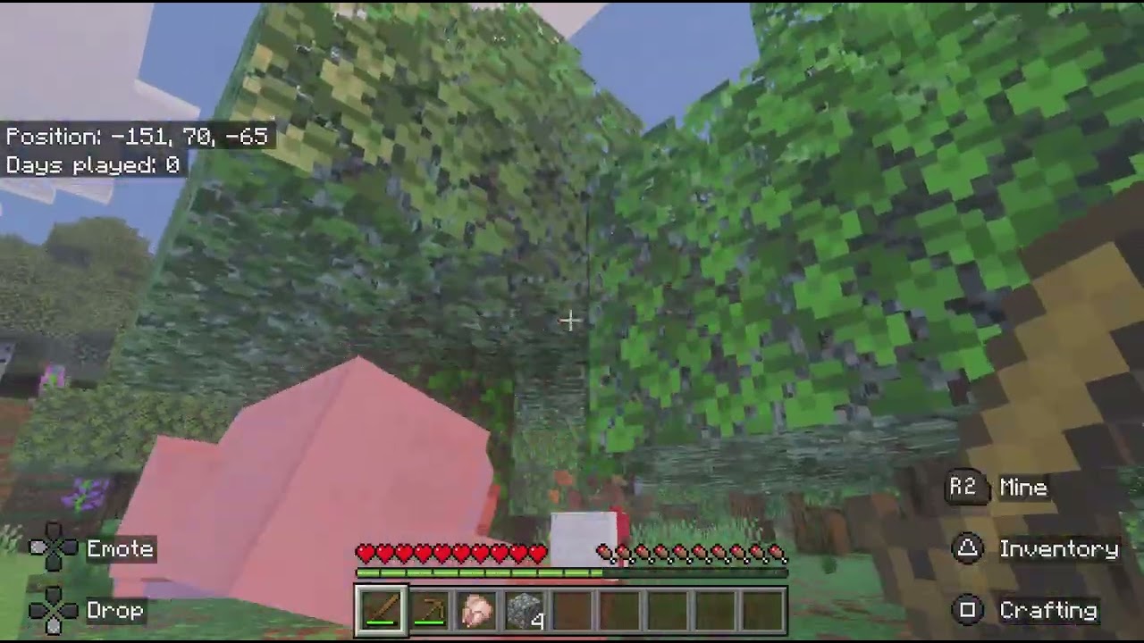 Minecraft