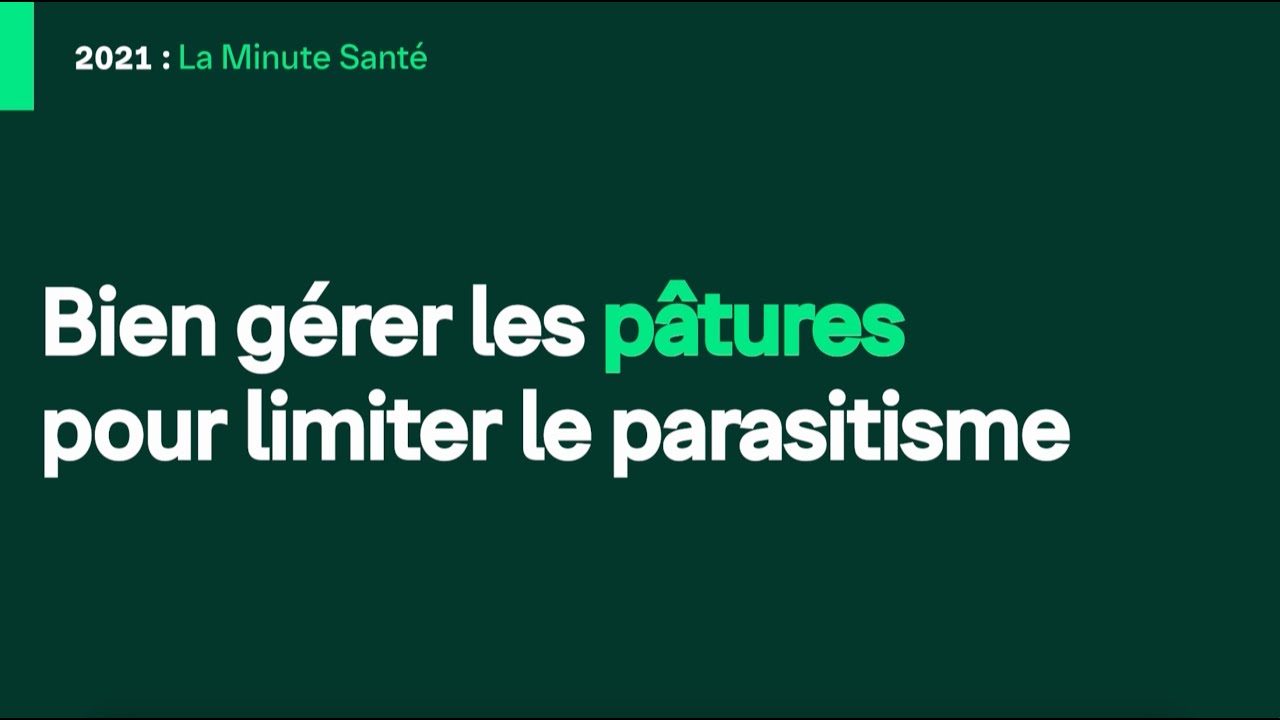 Bien gérer les pâtures pour limiter le parasitisme