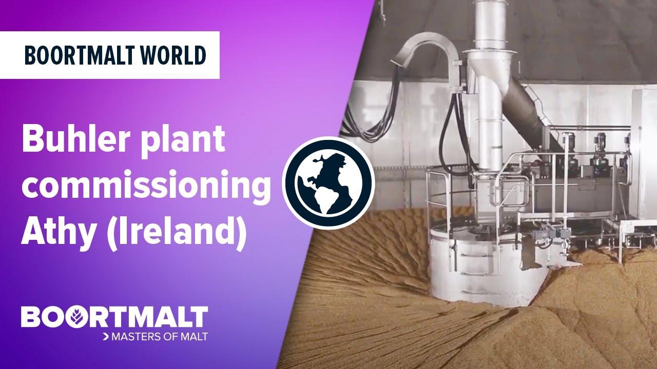 Buhler plant commissioning - Athy (Athy)