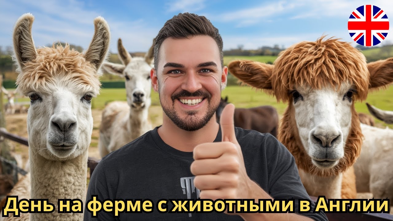 Самая добрая ферма в Англии! Bluebell Dairy Farm 🐄