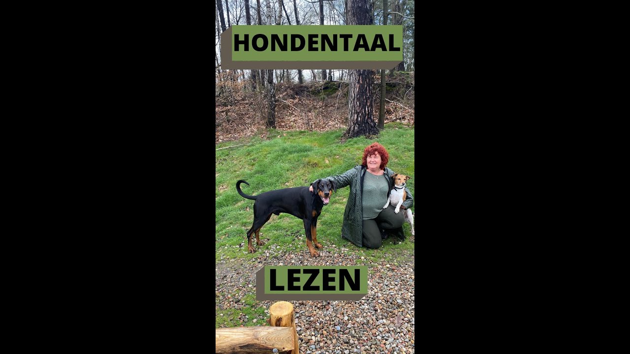 Loslooptraining Astrid Wijsman MAFS (Married at First Sight) - Hondencoach Life coach Leidy Zijlstra