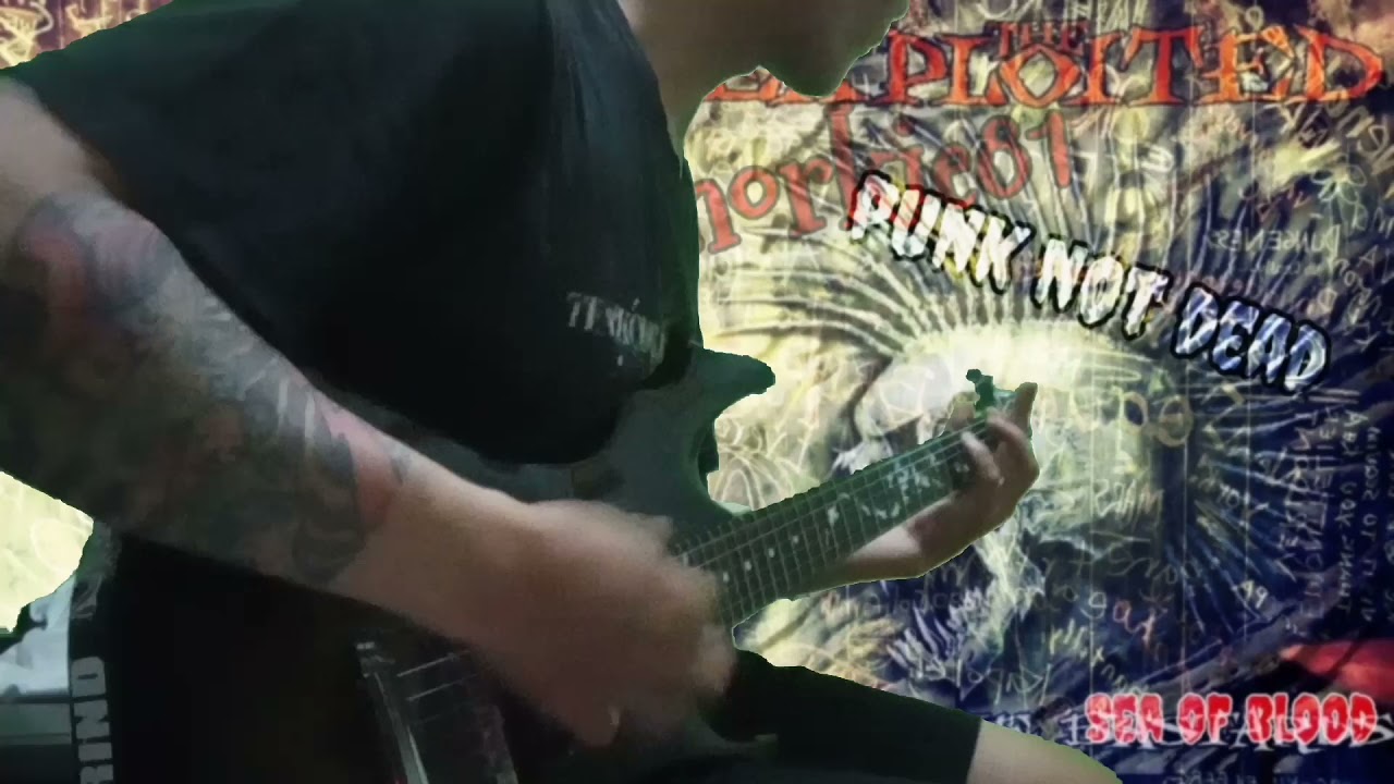 The exploited-sea of blood guitar cover