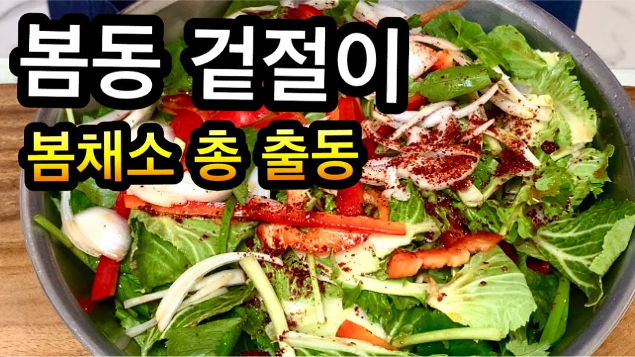 봄동겉절이 가장 간단하고 쉽게. 맛있게 만드는법/ Các loại rau mùa xuân trộn