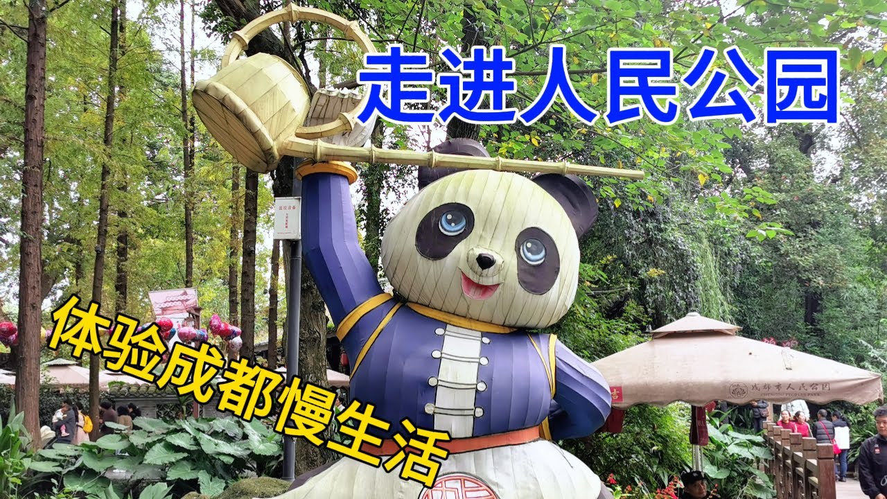 中国之旅/成都/百年人民公园/ 成都慢生活/鹤鸣茶舍/非遗糖画/菊展/盖碗茶/相亲角/保路运动博物馆