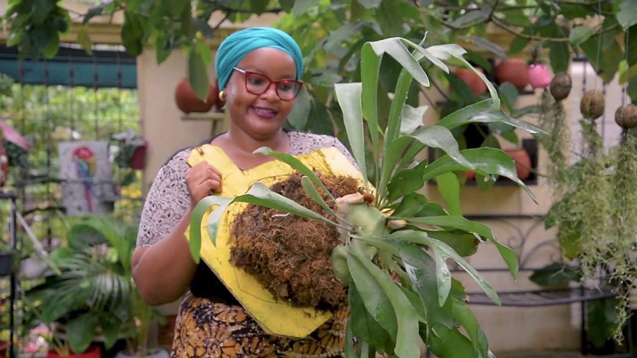 Upendo Mmari (Upendo Florist), msomi mwenye passion ya kutunza maua.