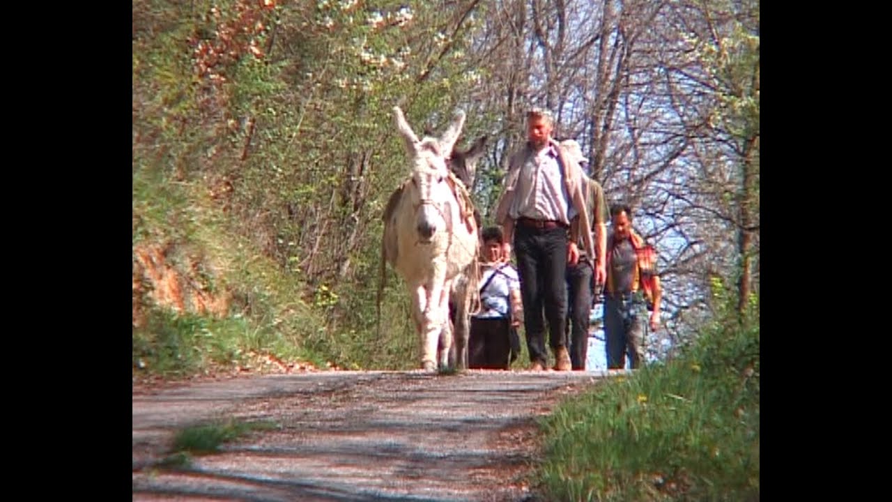 Film Prommata - chapitre 1 - formation maraîchage