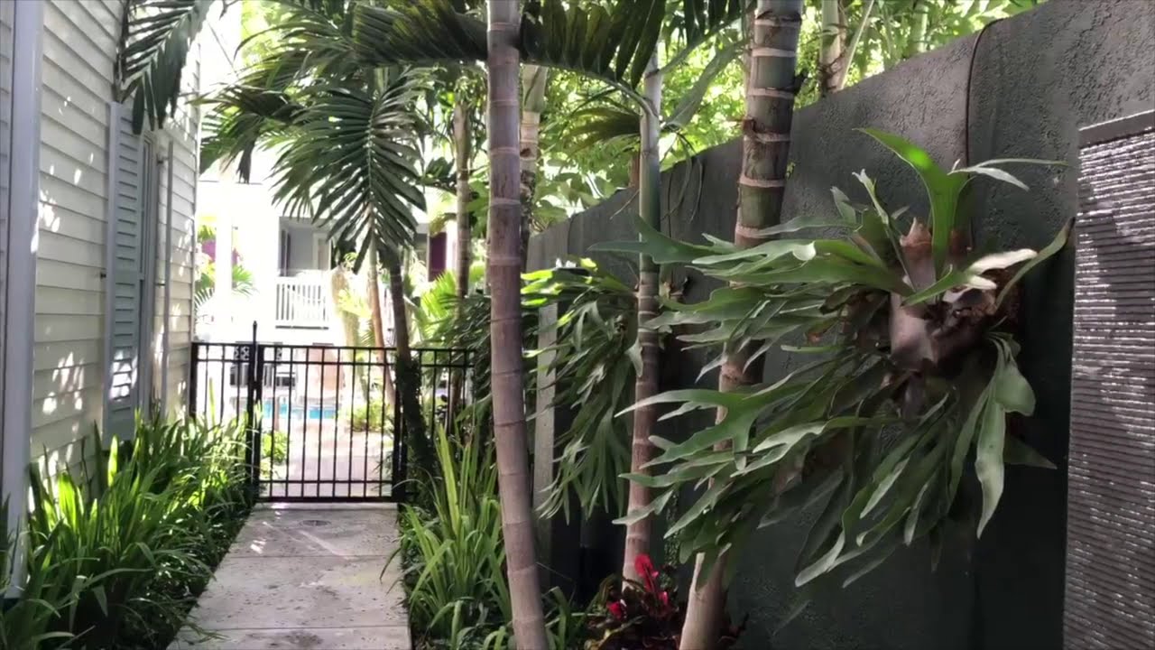 Marquesa Hotel Key West - Exterior foliage of plants around the buildings and pools at the Marquesa.