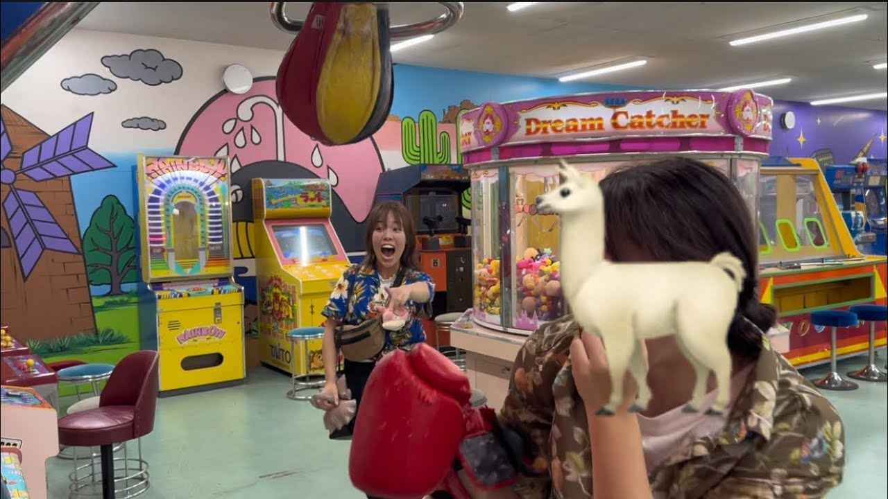 面白ゲームを見つけたよ🥊アルパカ編