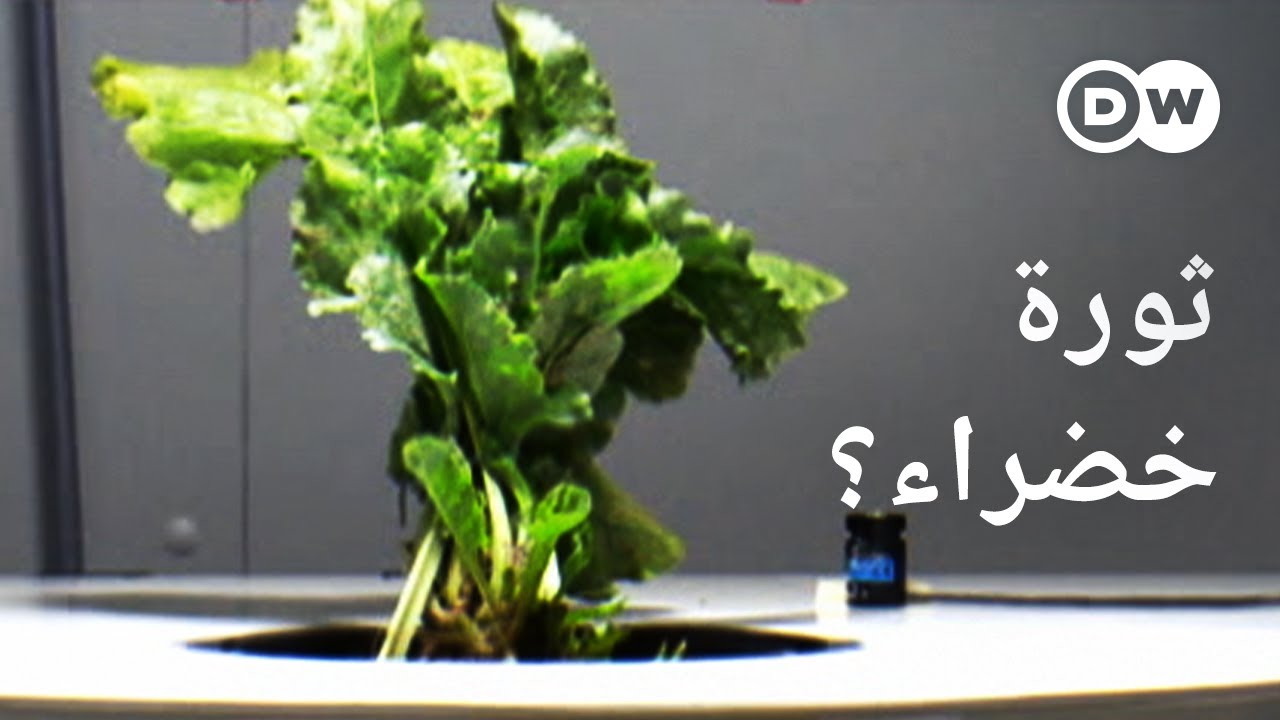 وثائقي | الطاقات المتجددة - المواد العضوية بدل الفحم والنفط؟ | وثائقية دي دبليو