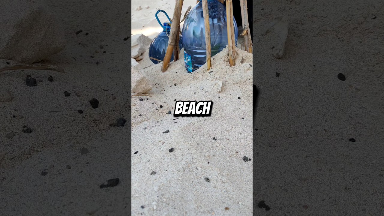 I PLANTED a TREE on the BEACH  🏖️🌳