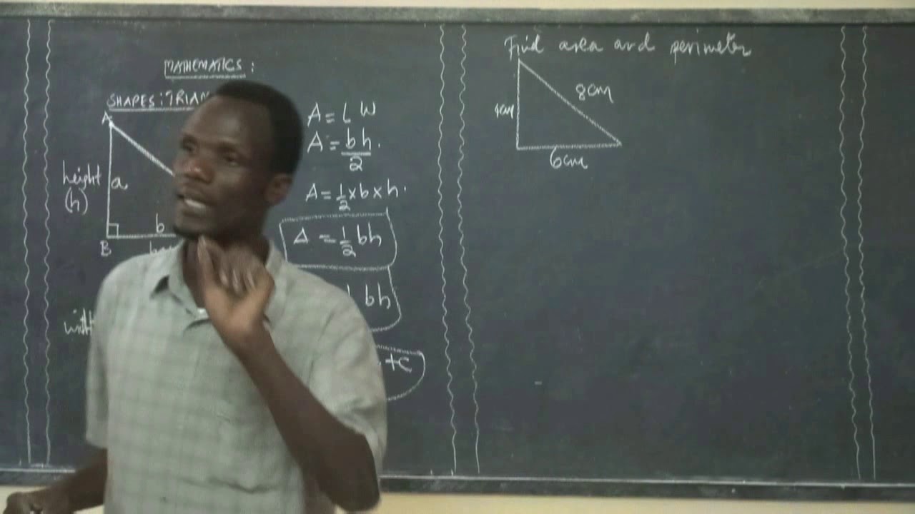 MATHEMATICS CLASS V TO VII AREA AND PERIMETER OF THE TRIANGLE