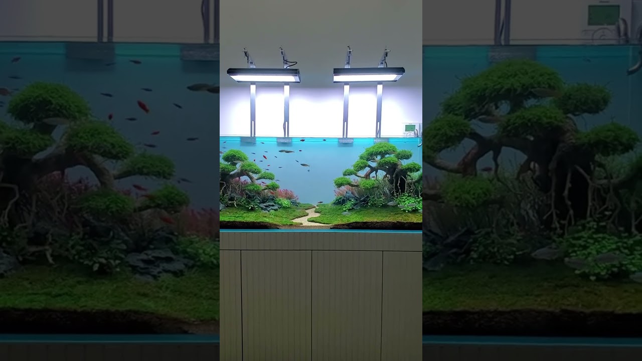 #Weekaqua  #A Series LED Full spectrum water plant light by@BestAqua  #aquascape #plantedtanklight