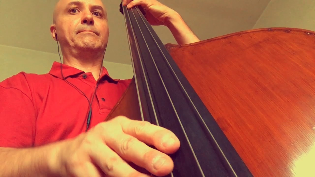 Fried Bananas Bass Line Play Along Backing Track