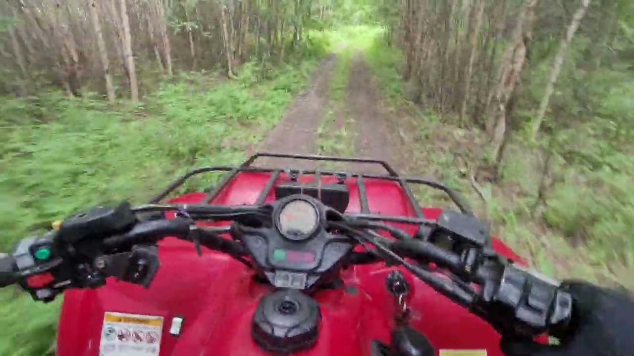 exploring trails on the 2005 Kawasaki Prairie 360 4x4