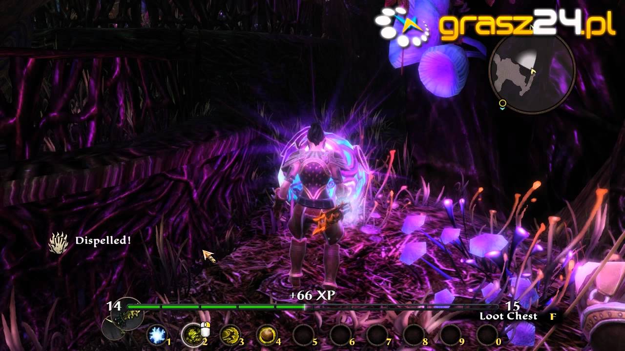 Kingdoms of Amalur: Reckoning PL - videorecenzja - Grasz24.pl