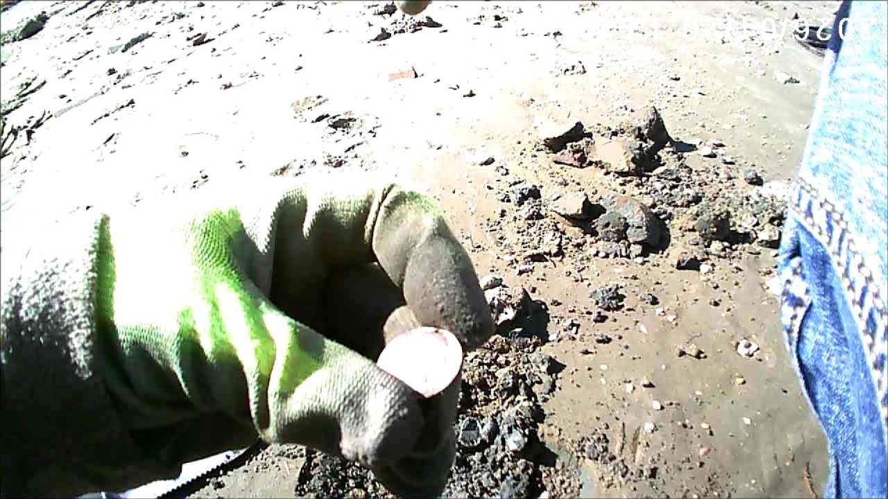 Beach hunt with the simplex ultra...