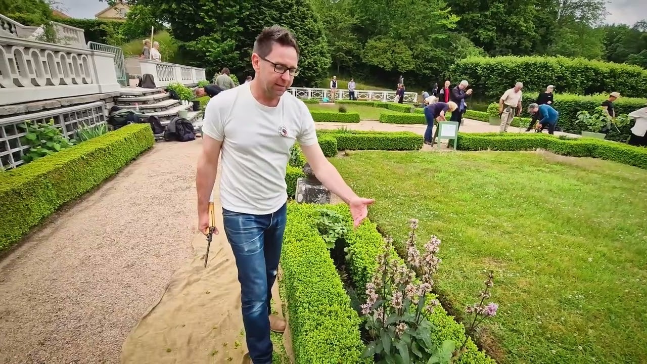 Boxwood pruning with Darren Lerigo