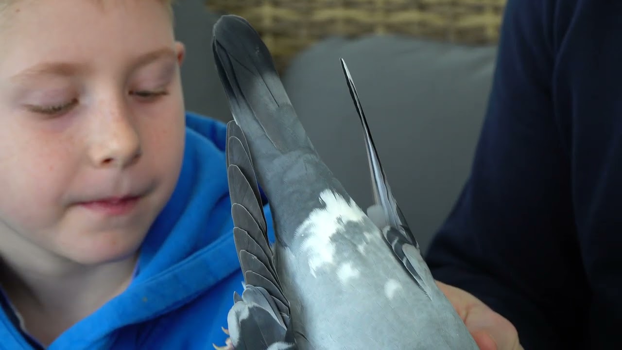 PL-0452-22-9200 top of the top