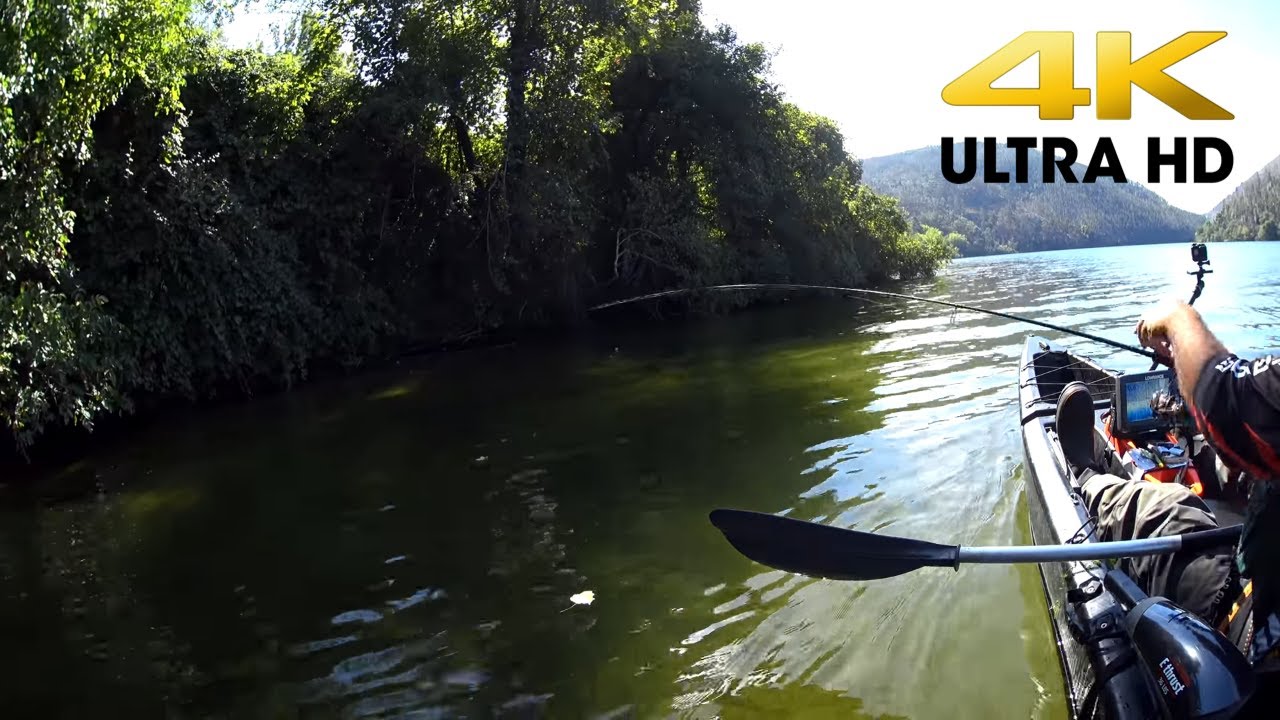 A amostra perfeita existe... #pesca (4K ULTRA HD)