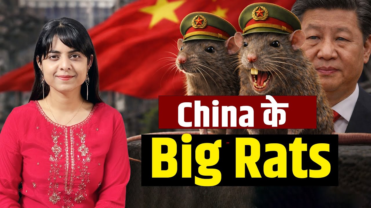 EP-128 || Who Are Big Rats?|| Corruption or Power Game? || Truth Behind China's Politics ||