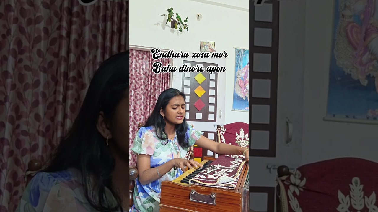 MAYABINI CHORDS PLAYING IN HARMONIUM.... 2026❤️❤️❤️