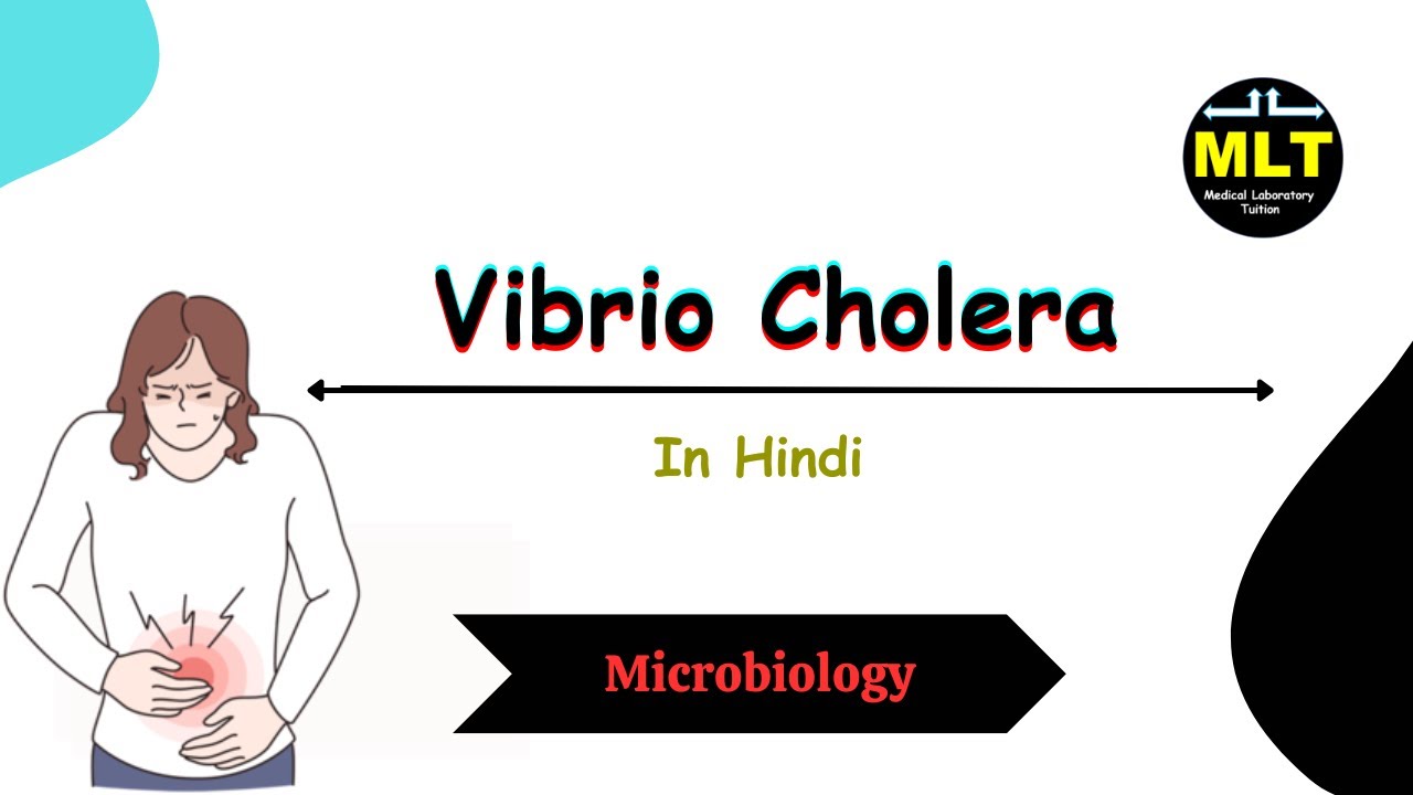 vibrio cholera lab diagnosis in hindi || vibrio cholera microbiology in hindi