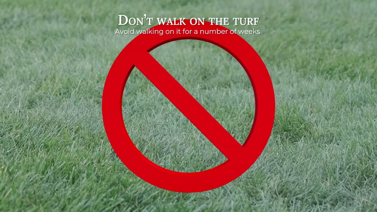 How to Care for Your Newly Laid Turf Lawn | Jones Homes