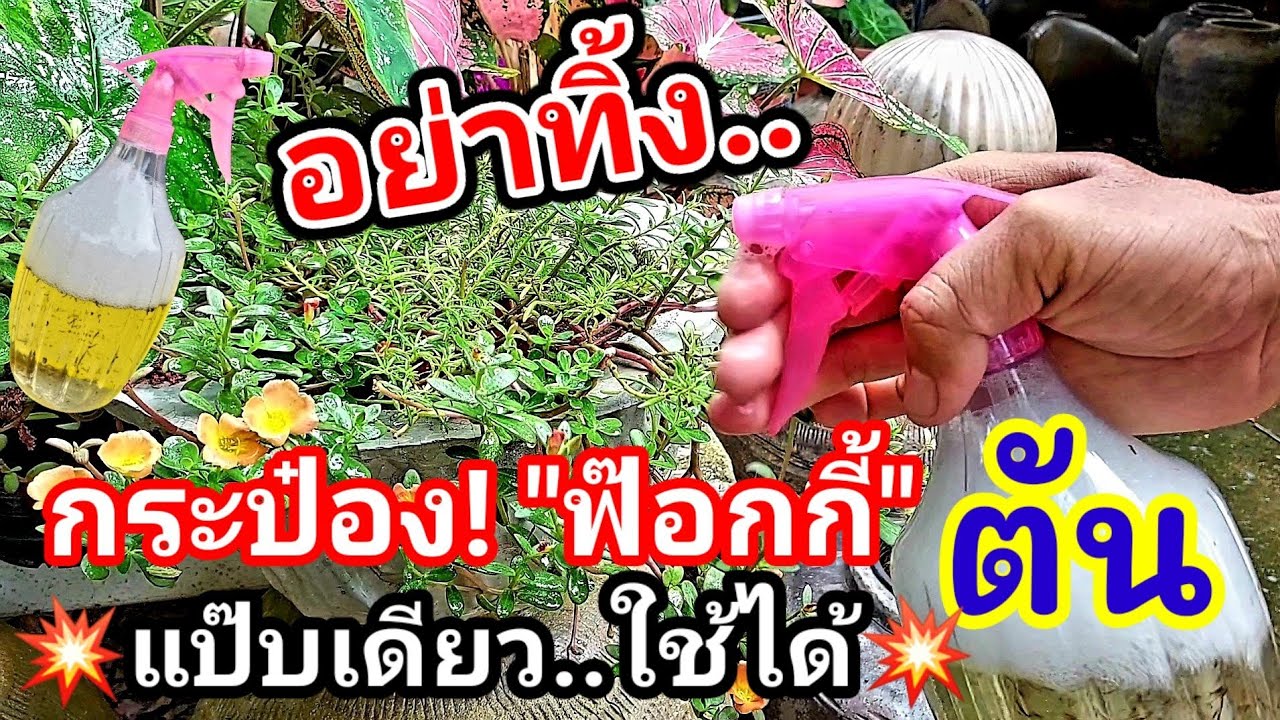 กระป๋อง ฟ๊อกกี้ตัน ฉีดไม่ออก💥อย่าทิ้ง แก้แป๊บเดียว💥ใช้ได้