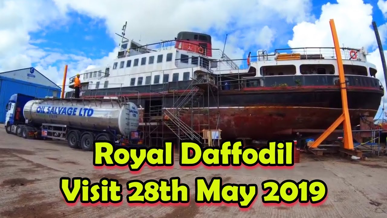 Royal Daffodil May 2019