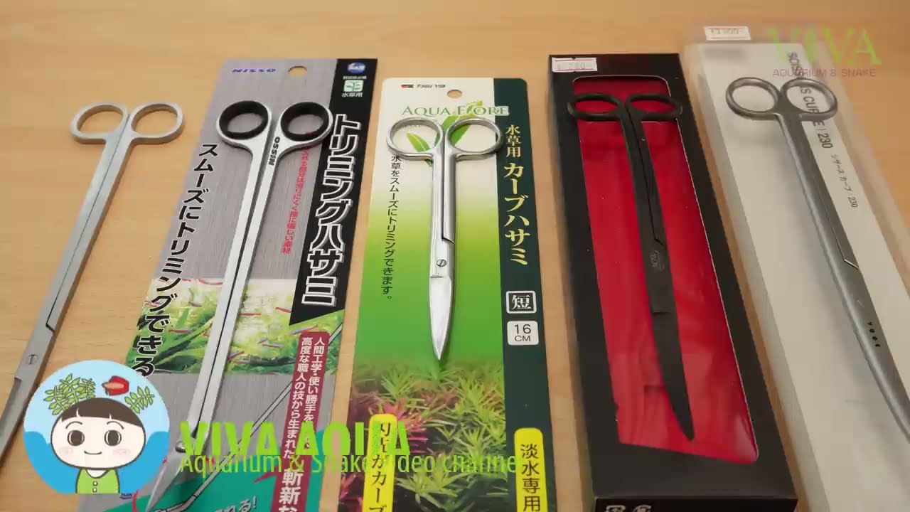 トリミングバサミ５本レビュー！最初に買うべき水草用トリミングバサミ＆買っちゃダメなハサミの特徴も紹介 【ビバアクア】#アクアリウム #熱帯魚