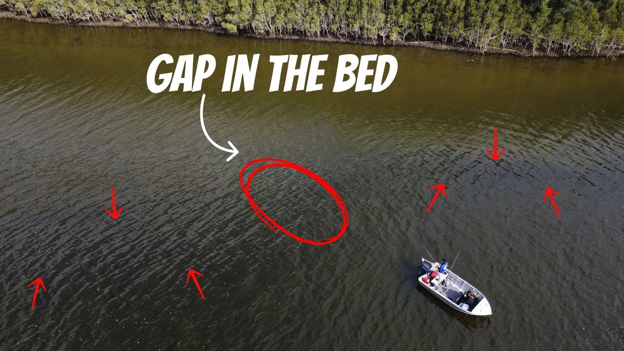 Where Do You Find JEWFISH in The Estuary?? | And Other Species Too!