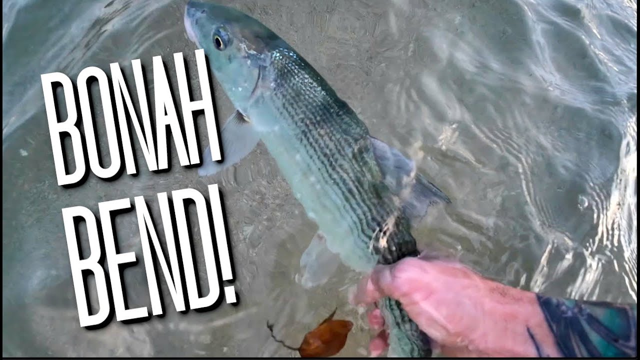Hawaii FISHING For O'IO with IKA Strips! - Fishing in Hawaii (SICK BENDERS)